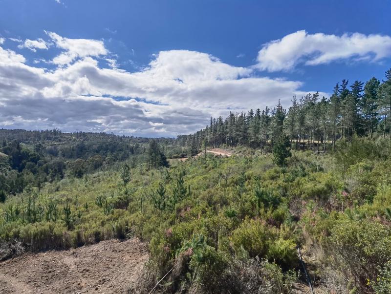 To Let 3 Bedroom Property for Rent in Plettenberg Bay Western Cape